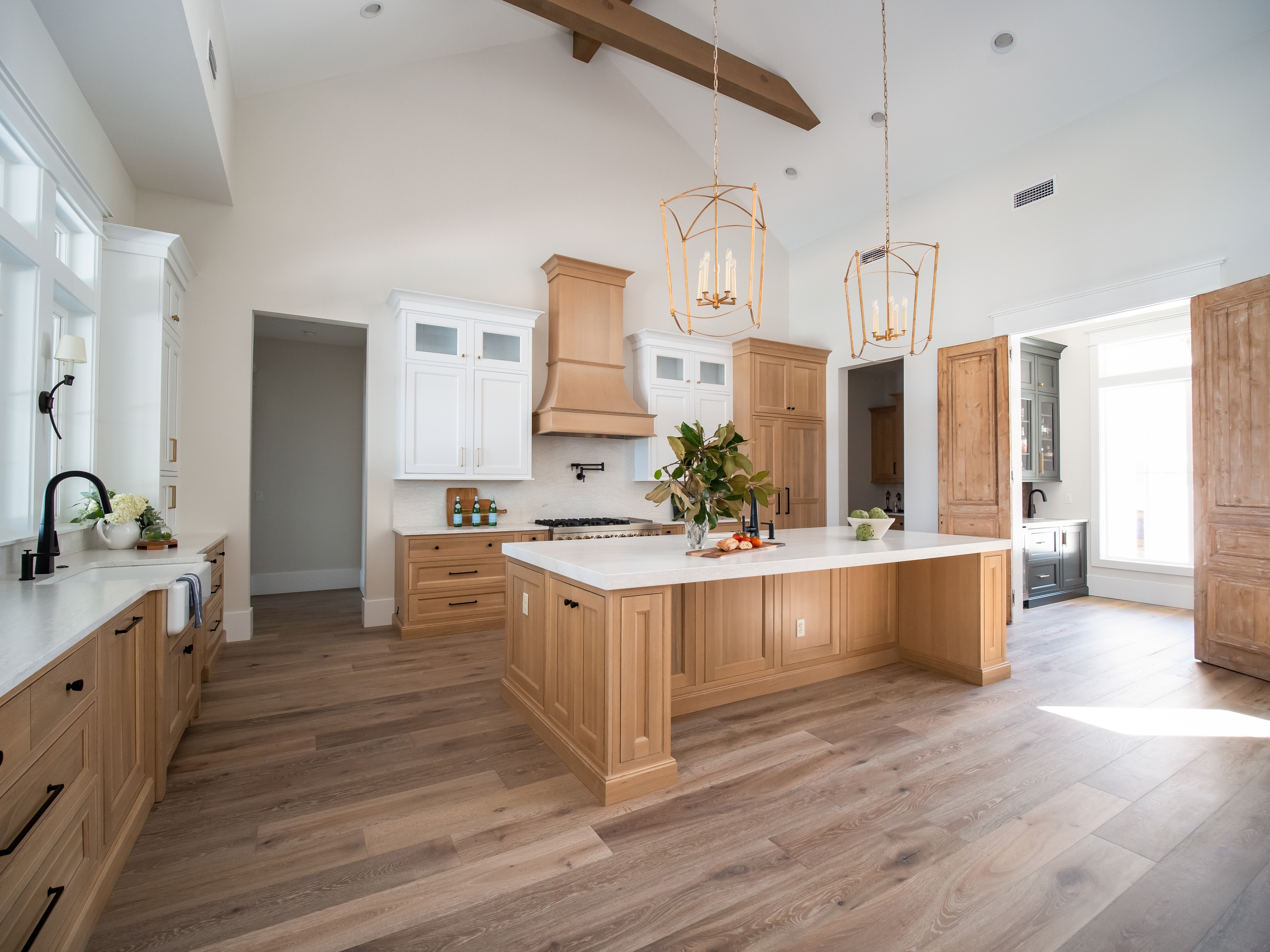 Modern Kitchen 1